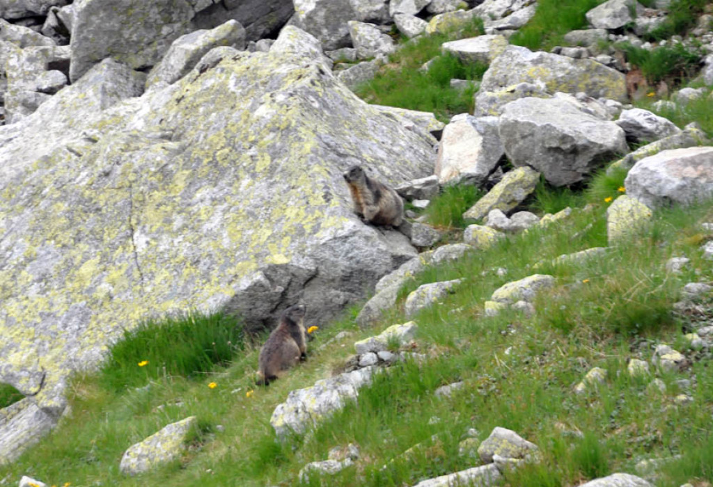 Tatry w deszczu, mgle i chmurach...