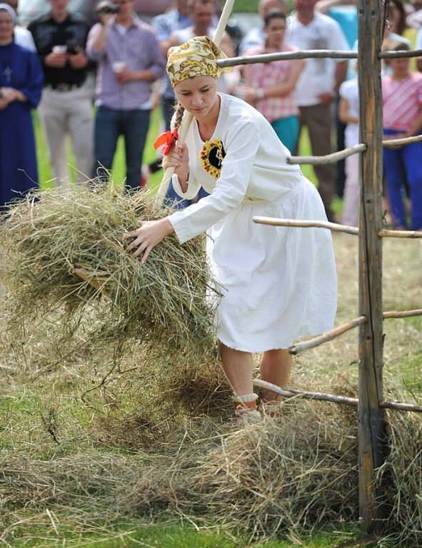 Wybory Nośwarniyjsyj Górolecki 2013