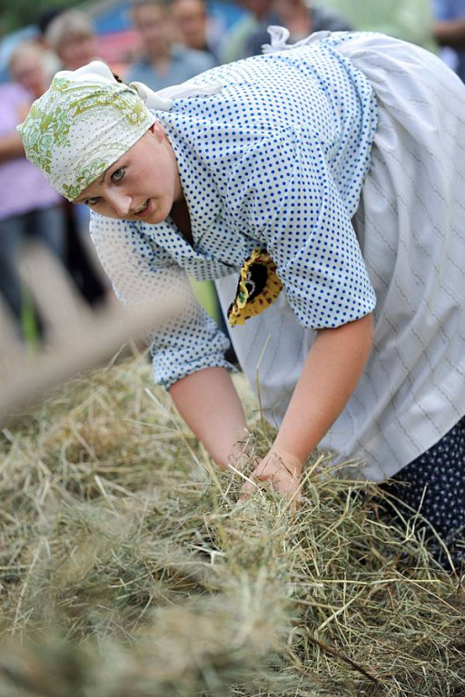 Wybory Nośwarniyjsyj Górolecki 2013
