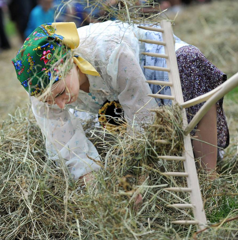 Wybory Nośwarniyjsyj Górolecki 2013