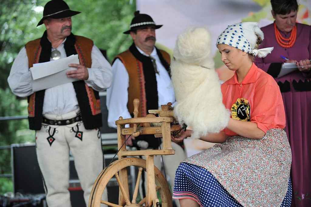 Wybory Nośwarniyjsyj Górolecki 2013