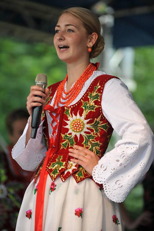 Wybory Nośwarniyjsyj Górolecki 2013