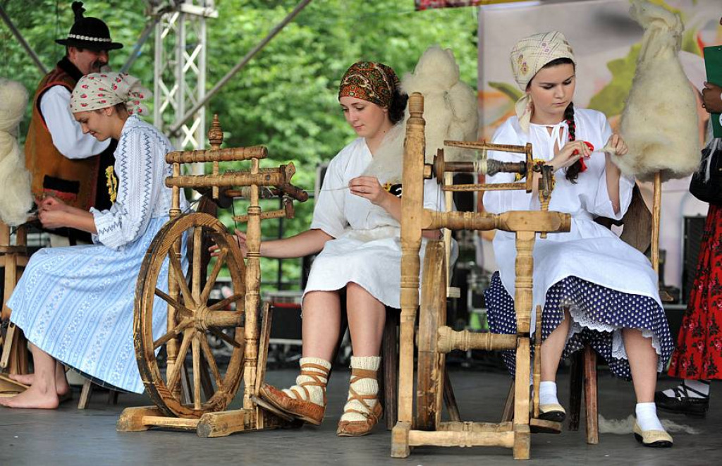 Wybory Nośwarniyjsyj Górolecki 2013