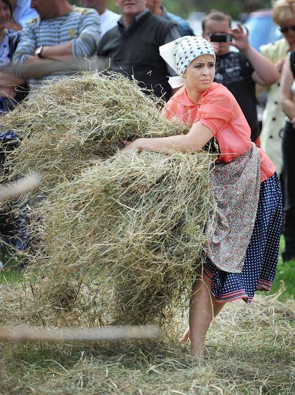 Wybory Nośwarniyjsyj Górolecki 2013