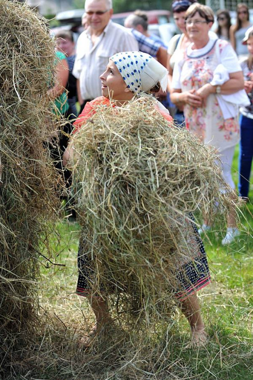 Wybory Nośwarniyjsyj Górolecki 2013