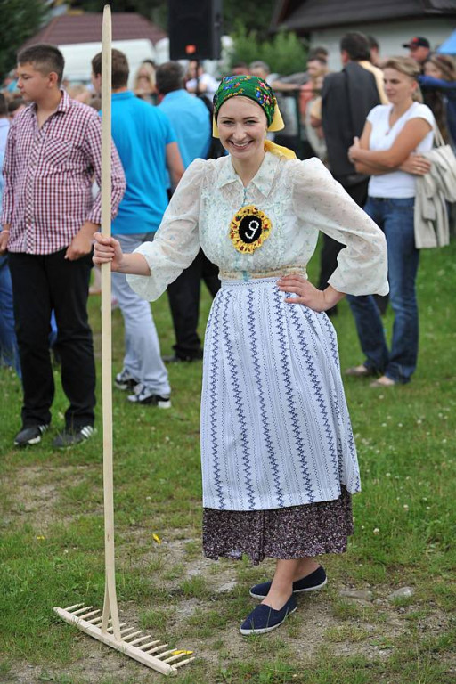 Wybory Nośwarniyjsyj Górolecki 2013