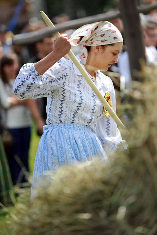 Wybory Nośwarniyjsyj Górolecki 2013