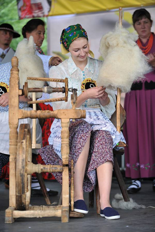 Wybory Nośwarniyjsyj Górolecki 2013
