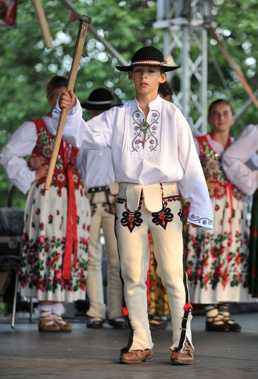 Wybory Nośwarniyjsyj Górolecki 2013
