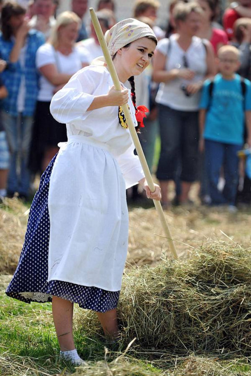 Wybory Nośwarniyjsyj Górolecki 2013