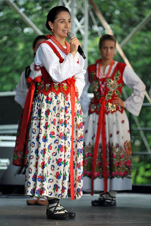 Wybory Nośwarniyjsyj Górolecki 2013