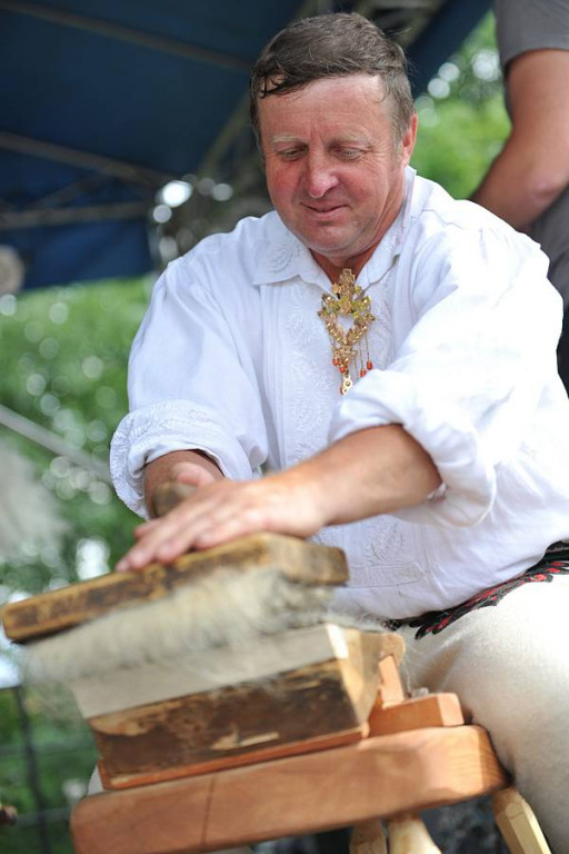 Wybory Nośwarniyjsyj Górolecki 2013