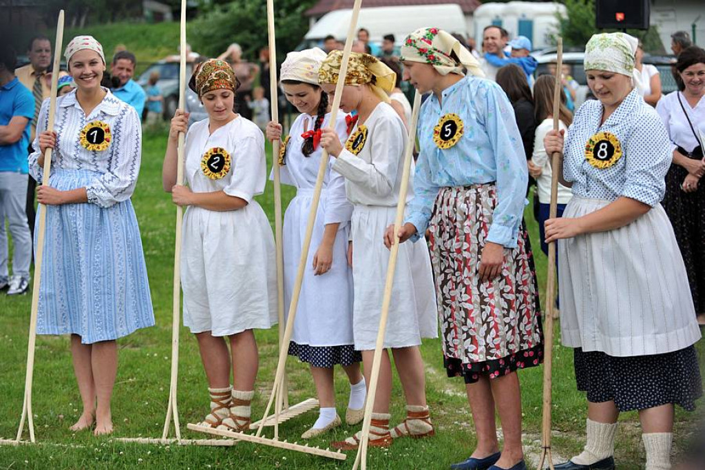 Wybory Nośwarniyjsyj Górolecki 2013