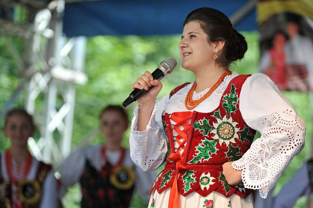 Wybory Nośwarniyjsyj Górolecki 2013