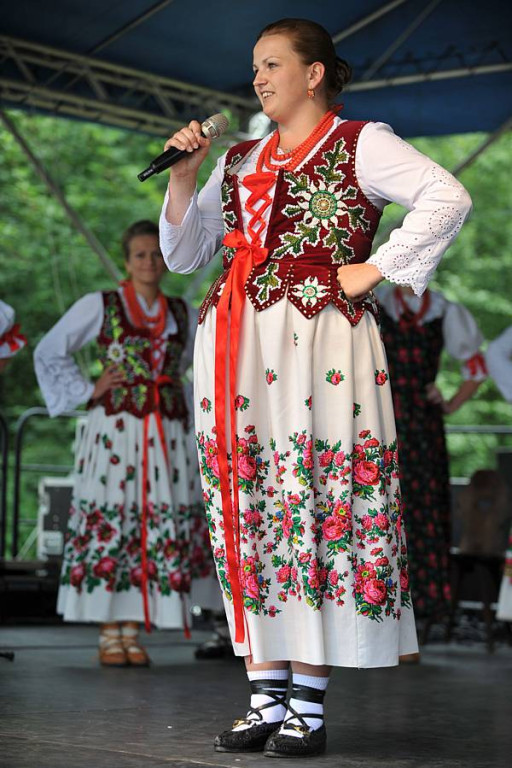 Wybory Nośwarniyjsyj Górolecki 2013