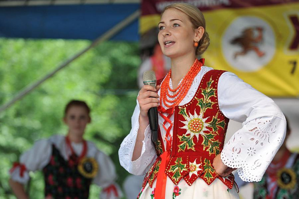 Wybory Nośwarniyjsyj Górolecki 2013