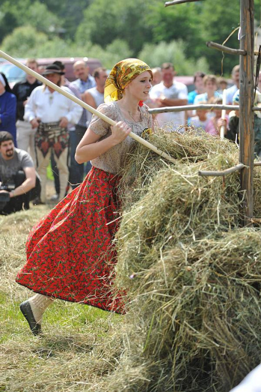 Wybory Nośwarniyjsyj Górolecki 2013