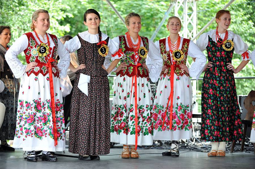 Wybory Nośwarniyjsyj Górolecki 2013