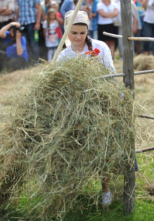 Wybory Nośwarniyjsyj Górolecki 2013