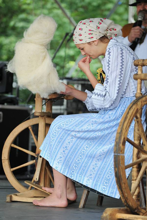 Wybory Nośwarniyjsyj Górolecki 2013