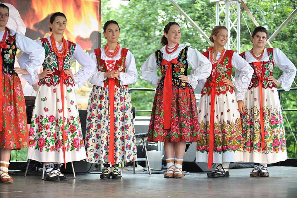 Wybory Nośwarniyjsyj Górolecki 2013