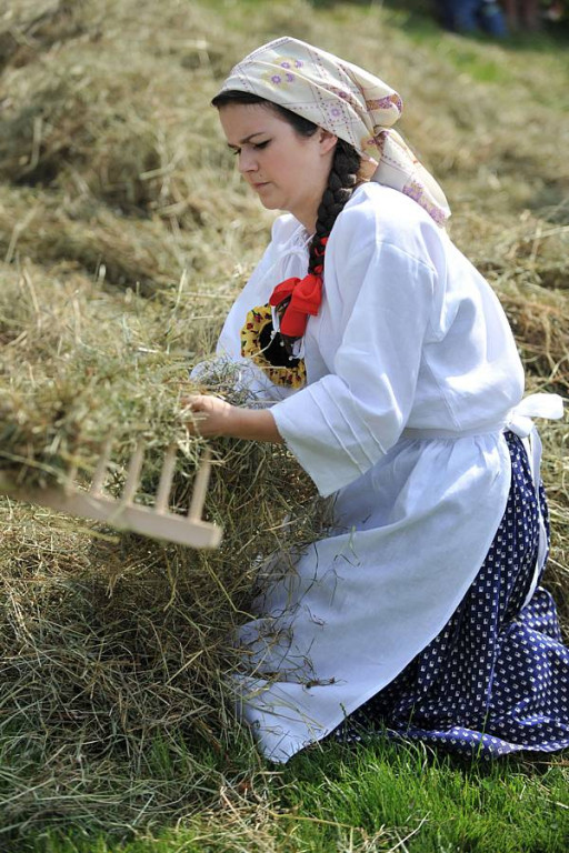 Wybory Nośwarniyjsyj Górolecki 2013