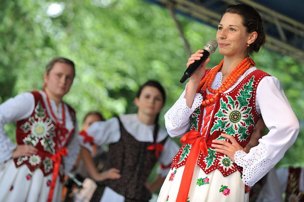 Wybory Nośwarniyjsyj Górolecki 2013