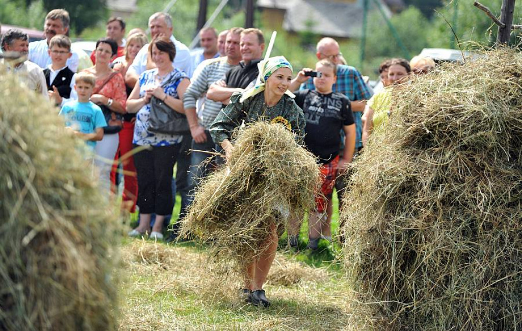 Wybory Nośwarniyjsyj Górolecki 2013
