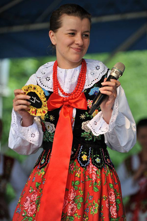 Wybory Nośwarniyjsyj Górolecki 2013