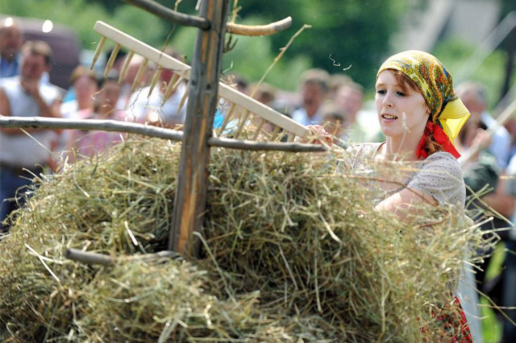Wybory Nośwarniyjsyj Górolecki 2013