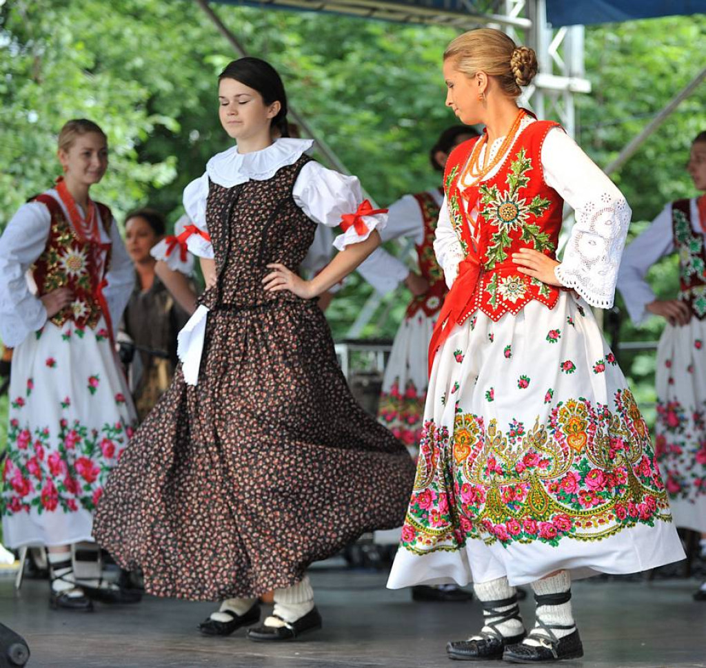 Wybory Nośwarniyjsyj Górolecki 2013