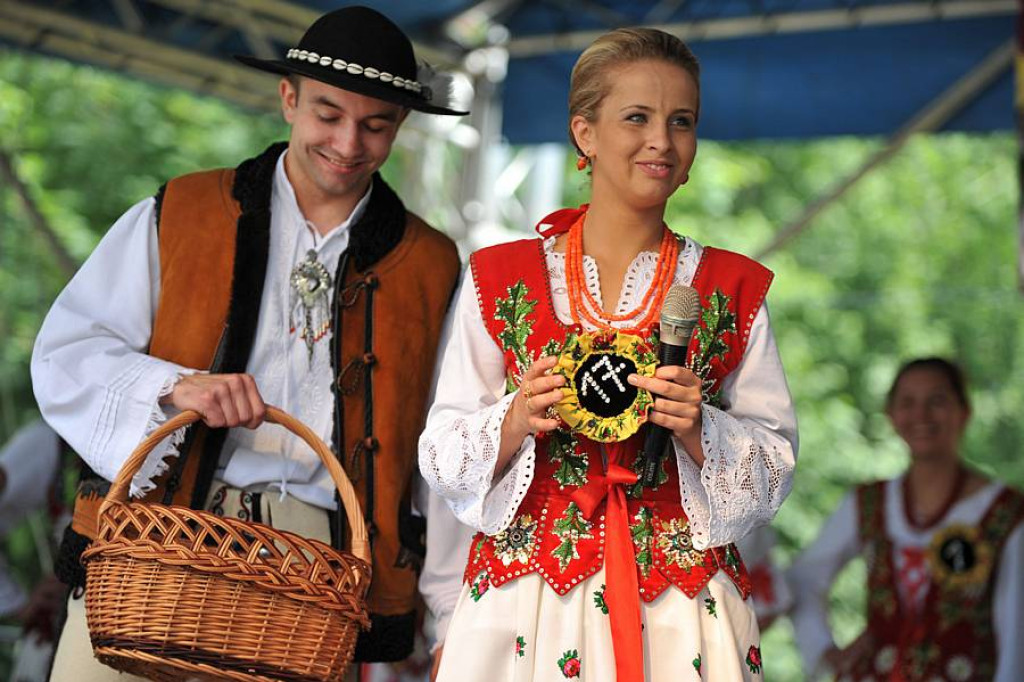 Wybory Nośwarniyjsyj Górolecki 2013