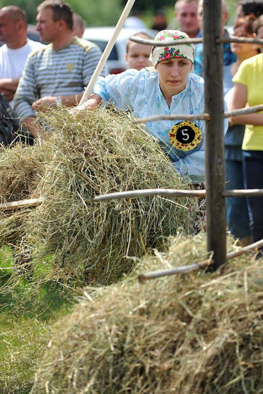 Wybory Nośwarniyjsyj Górolecki 2013