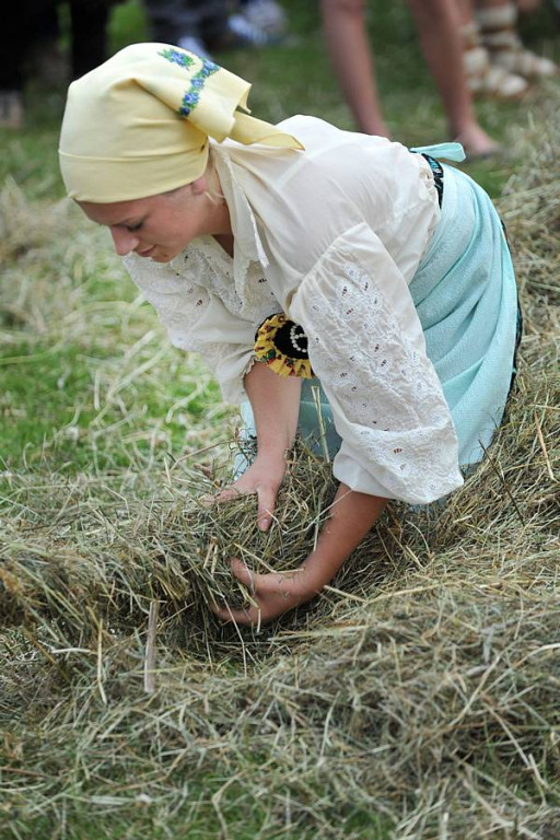 Wybory Nośwarniyjsyj Górolecki 2013