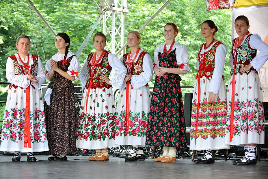 Wybory Nośwarniyjsyj Górolecki 2013