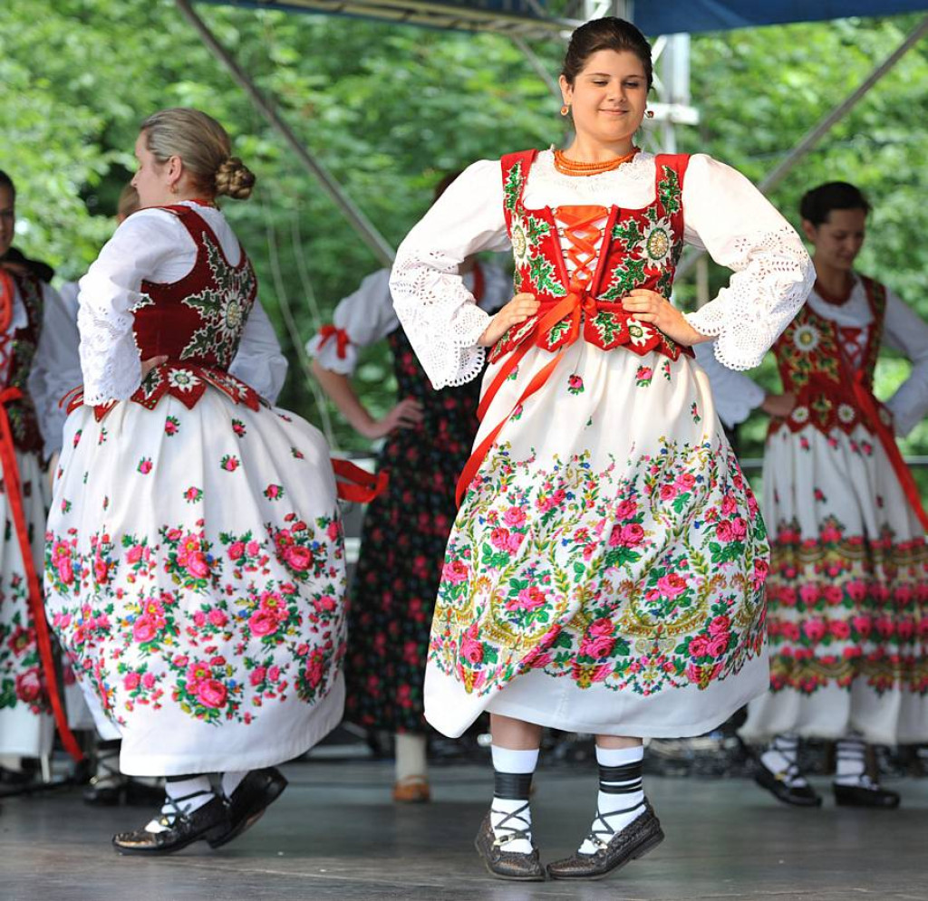 Wybory Nośwarniyjsyj Górolecki 2013