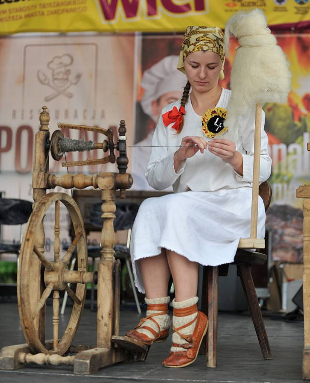 Wybory Nośwarniyjsyj Górolecki 2013