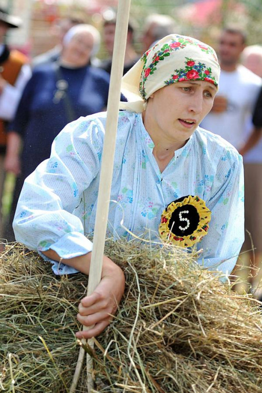 Wybory Nośwarniyjsyj Górolecki 2013