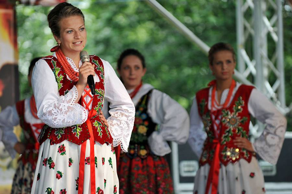 Wybory Nośwarniyjsyj Górolecki 2013