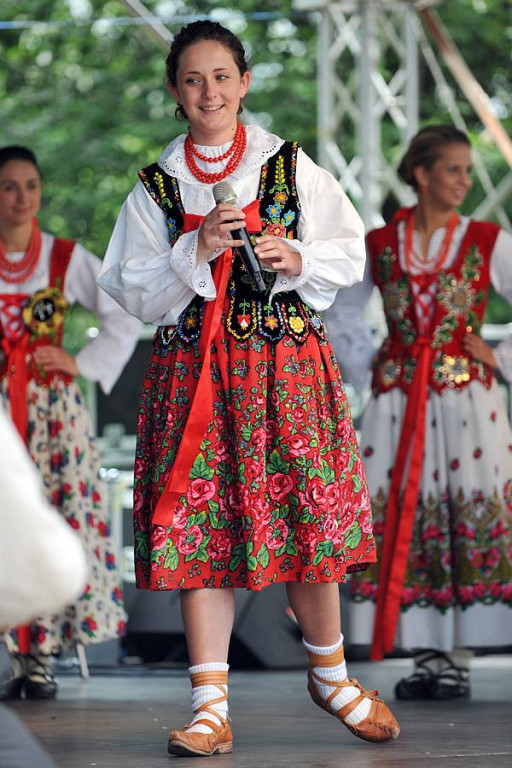 Wybory Nośwarniyjsyj Górolecki 2013