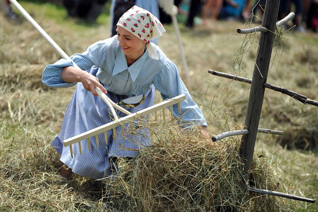 Wybory Nośwarniyjsyj Górolecki 2013