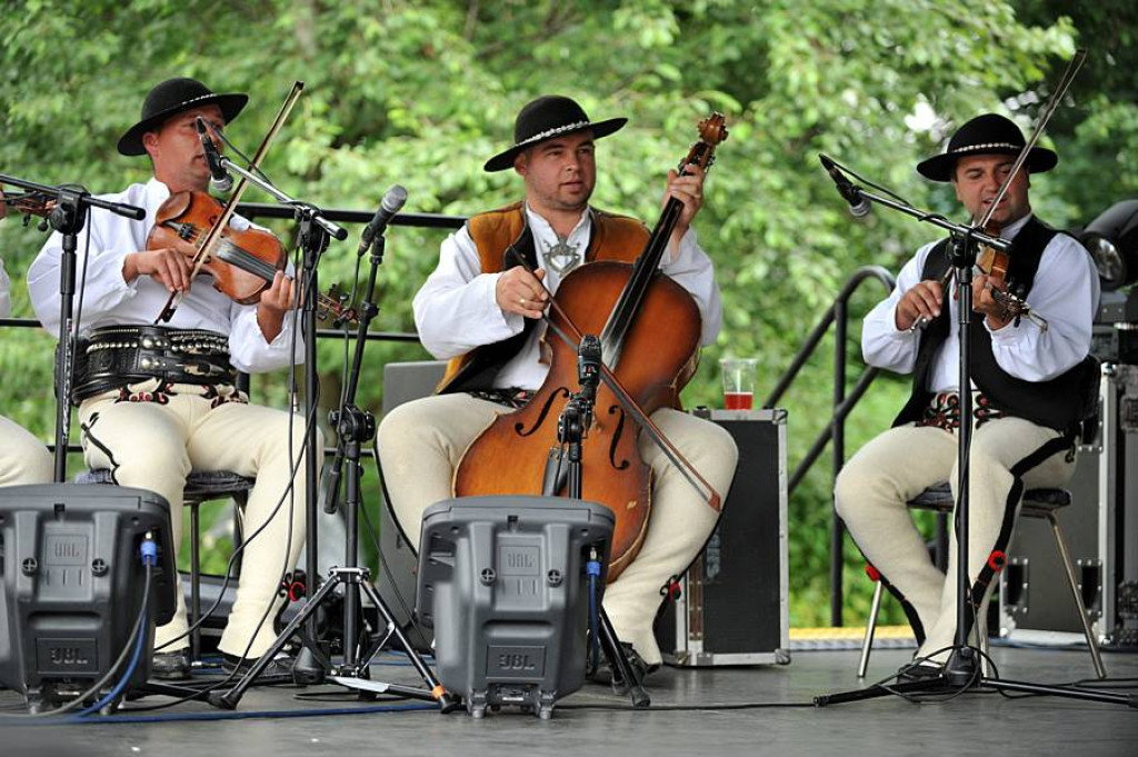 Wybory Nośwarniyjsyj Górolecki 2013