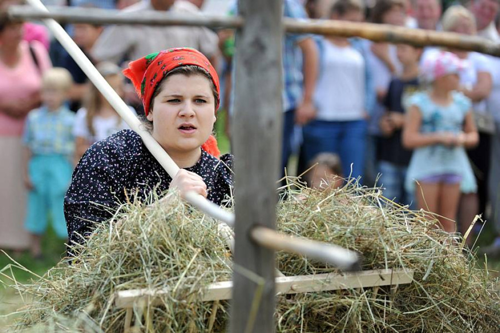 Wybory Nośwarniyjsyj Górolecki 2013