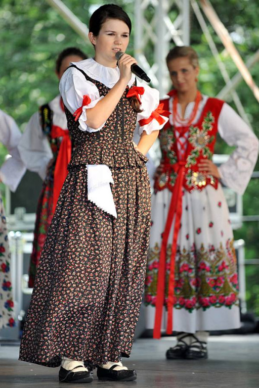 Wybory Nośwarniyjsyj Górolecki 2013
