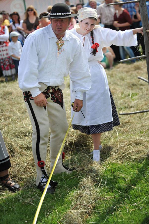 Wybory Nośwarniyjsyj Górolecki 2013