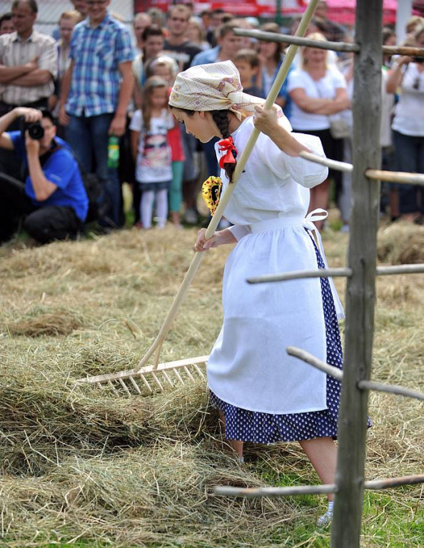Wybory Nośwarniyjsyj Górolecki 2013