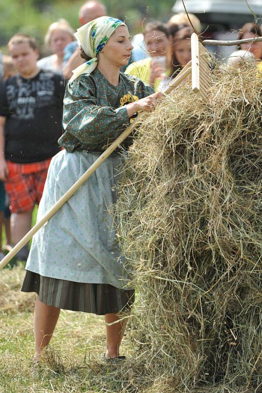 Wybory Nośwarniyjsyj Górolecki 2013