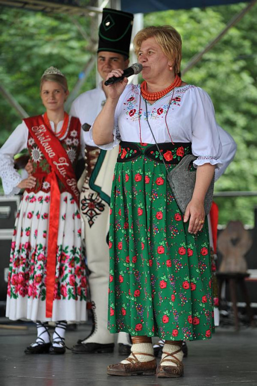 Wybory Nośwarniyjsyj Górolecki 2013