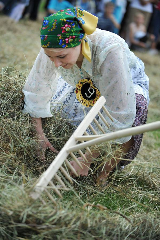 Wybory Nośwarniyjsyj Górolecki 2013