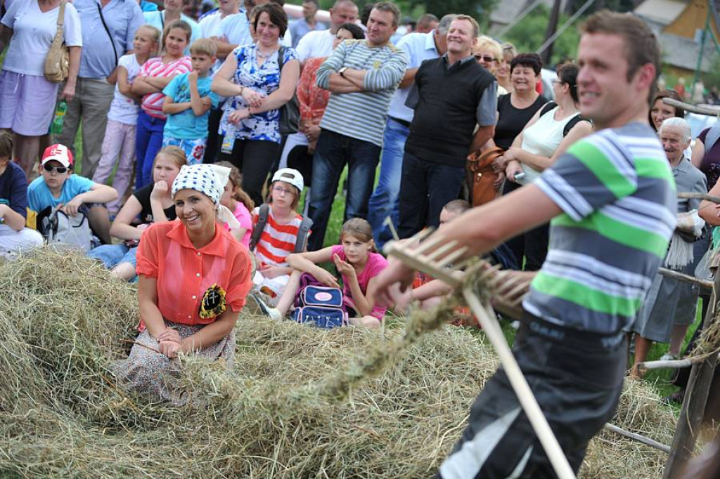 Wybory Nośwarniyjsyj Górolecki 2013